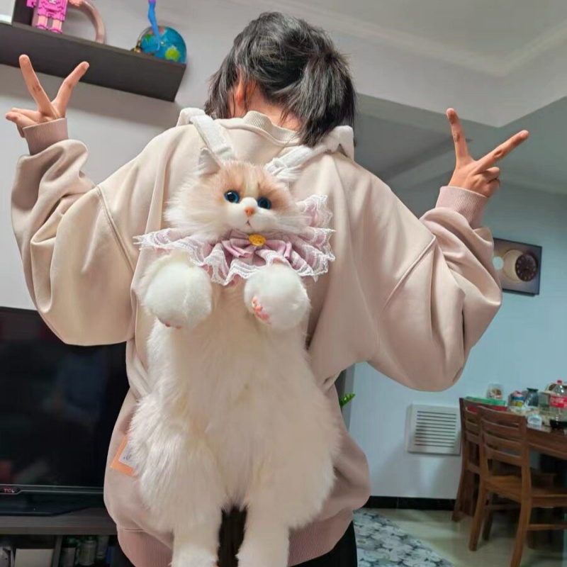 2026 New In Stock Ragdoll Cat  - Travel Accessories Ideas 评论和价格