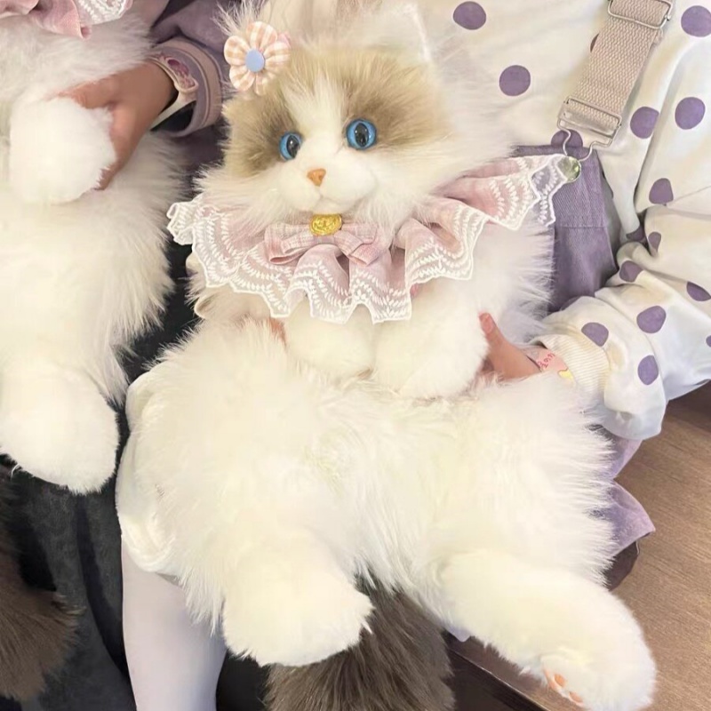 2026 New In Stock Ragdoll Cat  - Travel Accessories Ideas 评论和价格