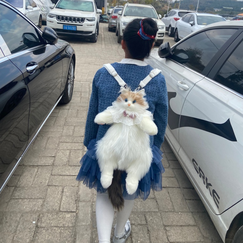 2026 New In Stock Ragdoll Cat  - Travel Accessories Ideas 评论和价格