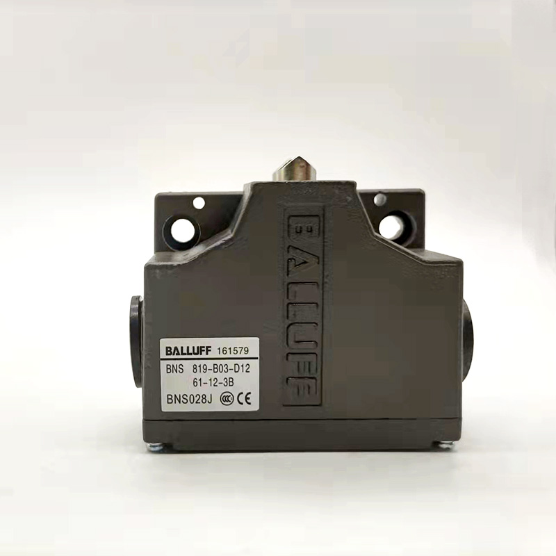 Travel Switch BNS819-B02-D12-6 - Travel Accessories Manufacturer 评论和价格